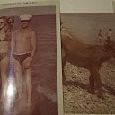  , -, 69  -  13  2015   