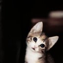  Olga, , 28  -  3  2015    