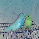 ���� ���, ����� - ��������� 20 ���� 2015 � ������ ���� ����� � �����������!�