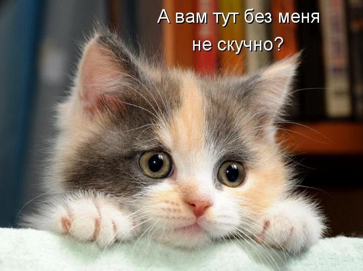       - 1  2015  20:07