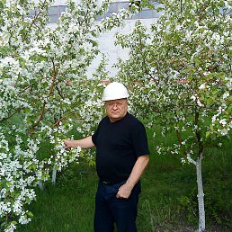 ���� ������, ������, 68 ��� - ��������� 26 ��� 2015