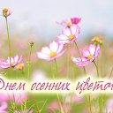 ���� �����, ��������� - ��������� 12 �������� 2015 � ������ �������� ��������