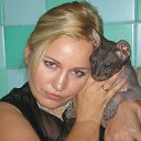 ���� ������, ����, 49 ��� - ��������� 2 ��� 2015 � ������ ���� ����������