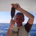 ���� ����������, ������������, 56 ��� - ��������� 3 ���� 2015 � ������ ���� ����������