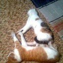 ���� *�������*, ������ - ��������� 10 ��� 2015 � ������ ���� ������