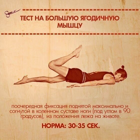 В вашей практике помимо упражнений на вытяжение должны обязательно присутствовать и силовые асаны. - 2