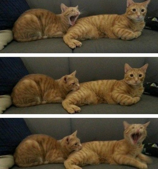    :D - 15  2015  17:38