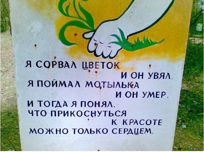   - 2  2015  21:41