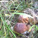 ���� ����, �����-���������, 69 ��� - ��������� 15 �������� 2015 � ������ ���� ����������