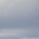 ���� �������, ������, 57 ��� - ��������� 23 ������� 2015 � ������ ������ ��������