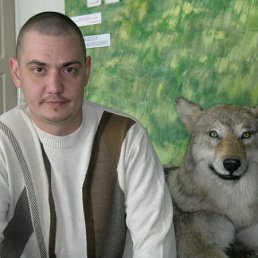 ������, ������, 46 ���