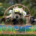 ���� �������, ���������, 64 ���� - ��������� 2 ������� 2015