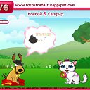 PetLove   -PetLove