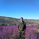 ���� ���� ����������, ��������, 47 ��� - ��������� 8 ������� 2015 � ������ ���� ����������