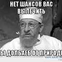 ���� Kot, �����, 43 ���� - ��������� 18 �������� 2015 � ������ ���� ����������