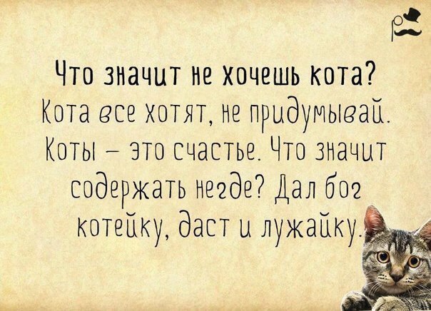       - 20  2015  07:03