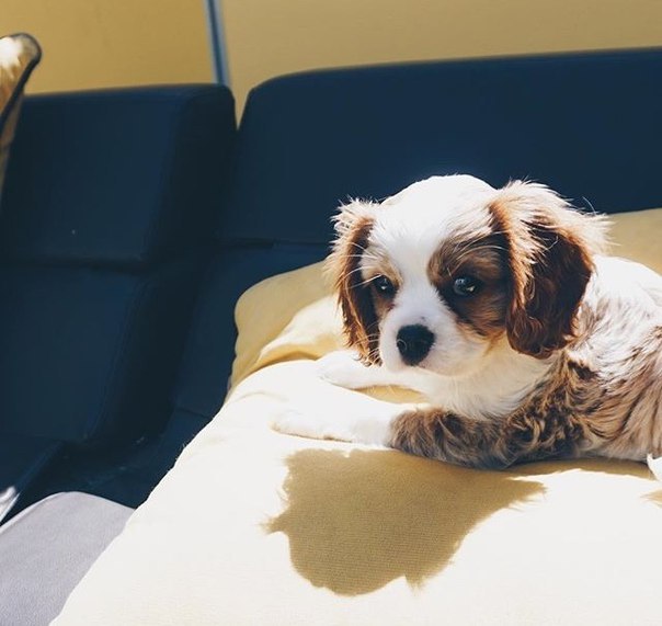   - 9  2015  18:31 - 5