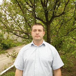 ������, ��������, 46 ���