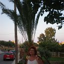 ����������� �� ������� ���� ����������