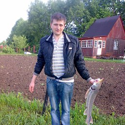 �����, ������, 48 ���