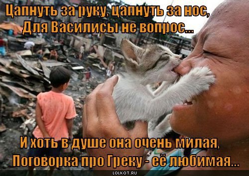       - 3  2015  23:15