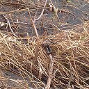 ���� �������, ���������, 54 ���� - ��������� 23 ��� 2015 � ������ ���������