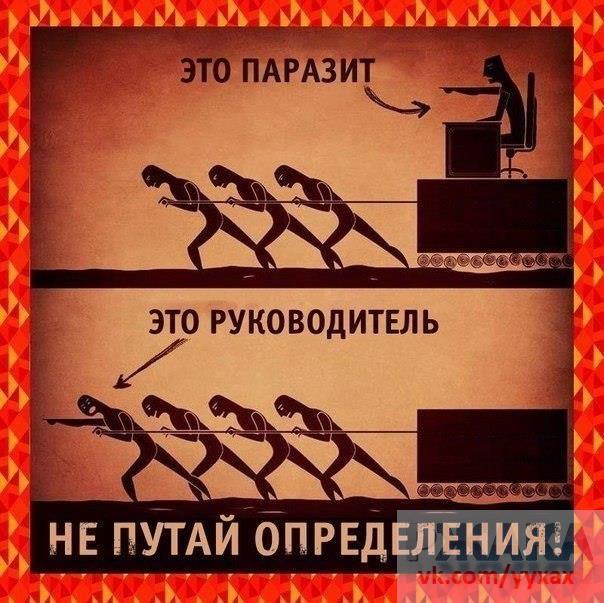     - 18  2015  19:31