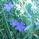 ���� ���������, �����������, 69 ��� - ��������� 20 ���� 2015 � ������ ����������� ����.������� ���.������������ �����, ��������������� ���.���� 2015�