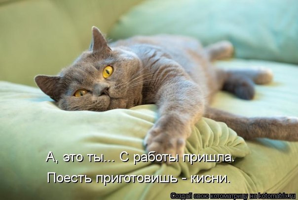       - 15  2015  19:29