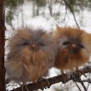 ���� �����, �����, 48 ��� - ��������� 23 ������� 2015 � ������ �14�