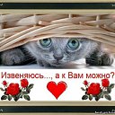 ���� ����� ��������, �������, 54 ���� - ��������� 7 ������� 2015 � ������ ���� ����������