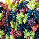 ���� ����, ����������� - ��������� 31 ������� 2015 � ������ ������ ��������