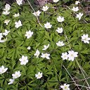 ���� �������, �����-���������, 71 ��� - ��������� 27 ������ 2015 � ������ ������ ��������