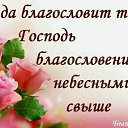 ���� ����, �����, 41 ��� - ��������� 17 �������� 2015 � ������ ������ ��������