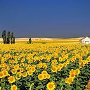 ���������� �� ������� ������� -�������������