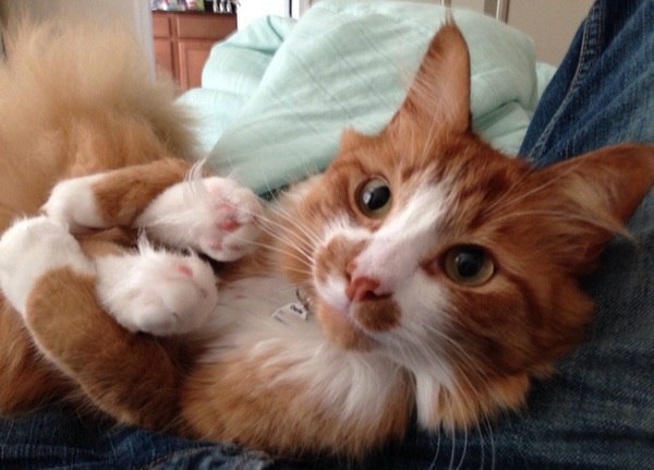  :3