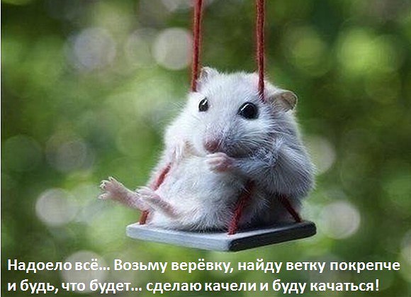 Lyubyov - 6  2015  06:26