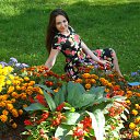 ���� ����, �����, 29 ��� - ��������� 21 �������� 2015 � ������ ���� ����������