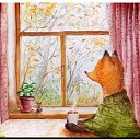 ���� �����, �����, 48 ��� - ��������� 23 ������� 2015 � ������ �14�