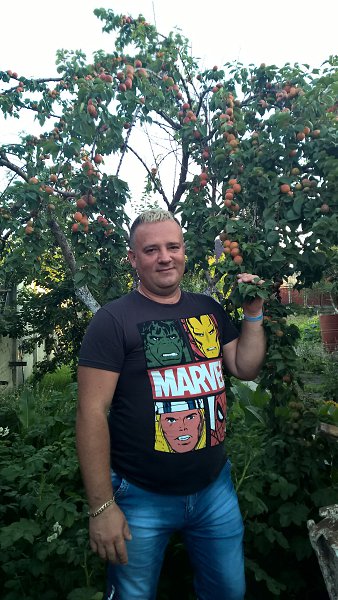 : SERGIO, 52 ,     