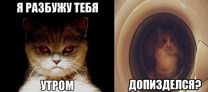 Не буди мемы 2025