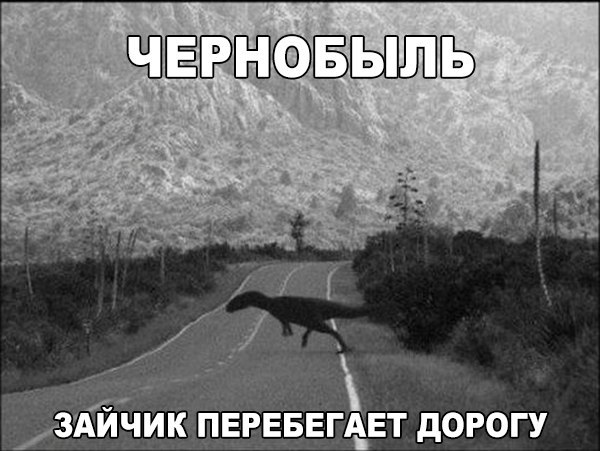    :D - 1  2015  16:35
