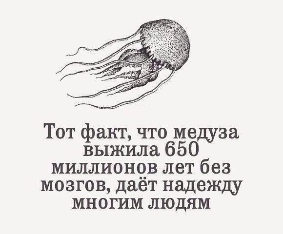   - 19  2015  00:13