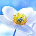 ���� ��������, ����� - ��������� 14 ���� 2015 � ������ ������ ��������