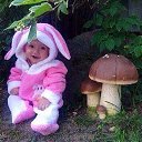 ���� �����, ������ - ��������� 1 ���� 2015 � ������ ������ ��������