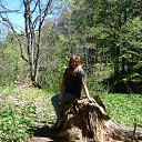  , --, 38  -  5  2015    