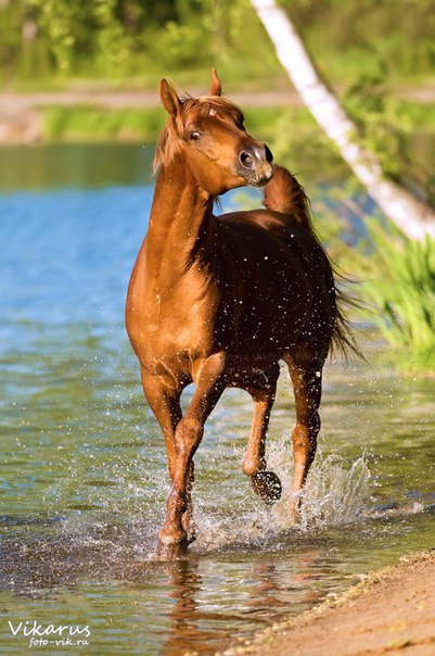   - 9  2015  20:30 - 4