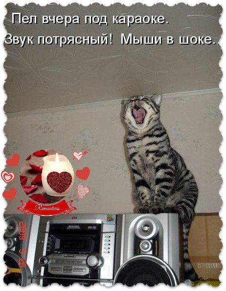    -     ))