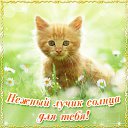 ���� Ledi, ������������ - ��������� 10 ������� 2015 � ������ �������� ��������