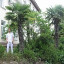  ,  -  16  2015     2